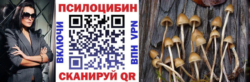 Псилоцибиновые грибы Psilocybine cubensis  Гремячинск 